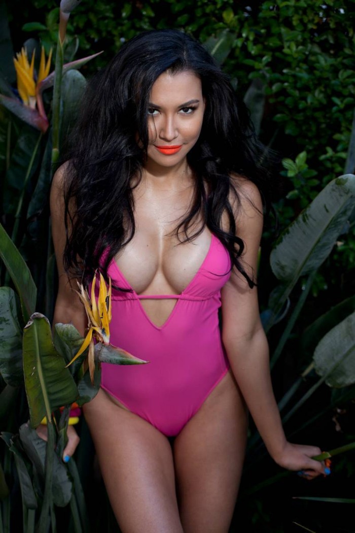 Naya Rivera a une plastique torride en lingerie
